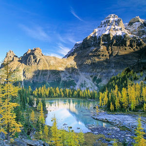 Meet your Posher, Sean